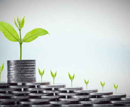 Stacks of coins with green seedlings growing from them, arranged in ascending order, symbolizing financial growth and investment success.